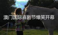 澳门国际喜剧节爆笑开幕！沈腾马丽领衔“喜剧天团”嗨翻双城