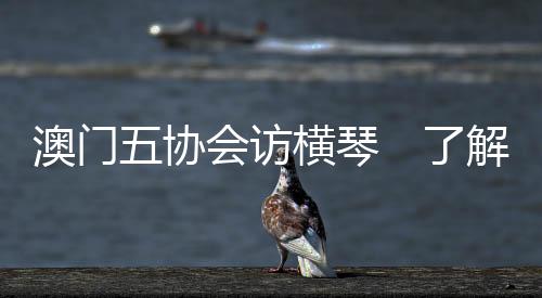横琴澳大科技研究院等
