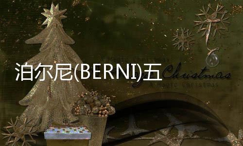 金凝透过五金看未来
