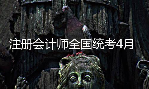 记者从珠海市会计学会了解到
