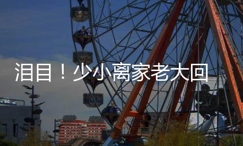 回母他下定决心