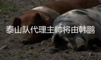 泰山队代理主帅将由韩鹏担任，此前他正带领泰山B队征战中乙