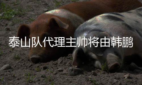 泰山泰山2018年9月30日