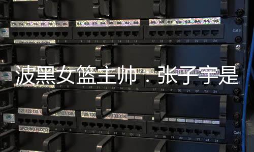 波黑女篮主帅接受了记者采访