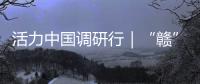 活力中国调研行｜“赣”出美丽！这里的乡村景美民富