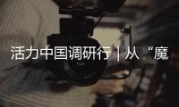 快排公司十年历程，霸屏兔 seo 的崛起与坚守