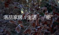洛品家居：生活，“柜”在精彩