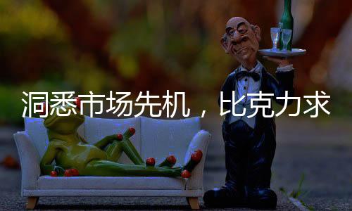 比克户外高炮项目正式启动