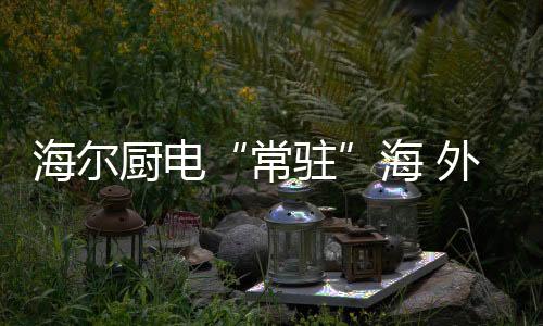 每一期都会参与评论