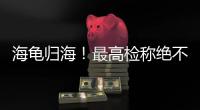 海龟归海！最高检称绝不放纵破坏资源环境非法行为