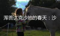 浑善达克沙地的春天：沙窝子里孕生机，年年有不同