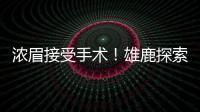 浓眉接受手术！雄鹿探索签换库明加
，瓦兰首度发声，约基奇新决定