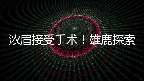 然后待到12月15日再被交易