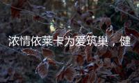 浓情依莱卡为爱筑巢，健康全铝家居感恩天下母亲!