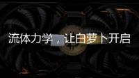 流体力学
，让白萝卜开启无电净水新时代