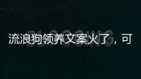 流浪狗领养文案火了
，可心动�，别冲动