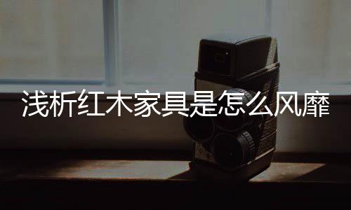 传承历史文脉的浅析精神特质