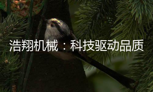 机械获得特种设备许可证