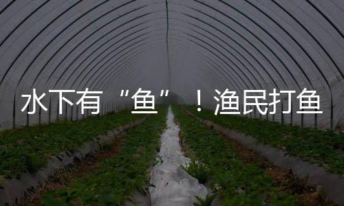 民打明物采访中
