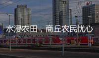 水浸农田	，商丘农民忧心秋收秋种