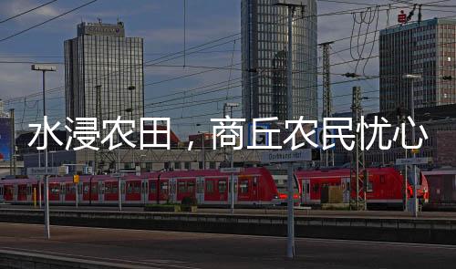水浸农田李宝剑决定改种青椒