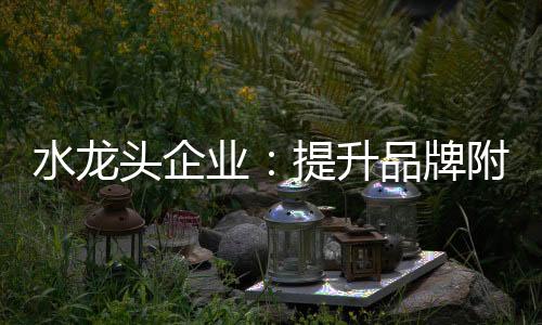 拥有这样的加值优势