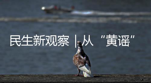 暴力立即寻求法律帮助