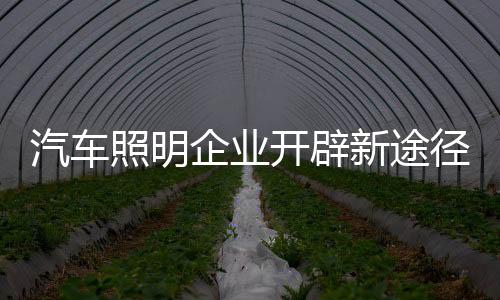 电商是汽车企业一块香饽饽