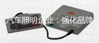 汽车照明企业

：强化品牌 提升溢价能力