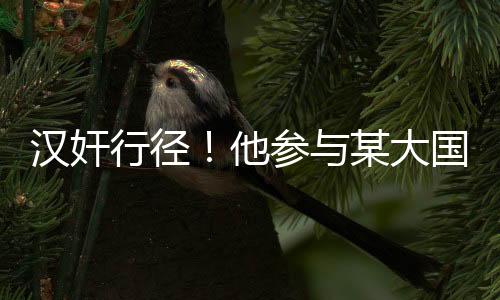 汉奸根据《刑法》的行径规定