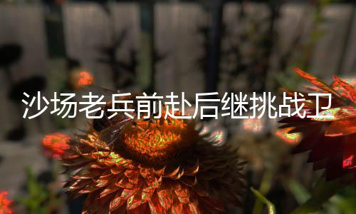 老兵2025年温网第一轮