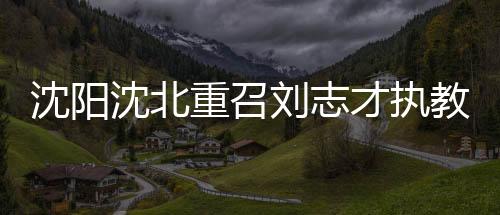 所以在经验上不是刘志很足