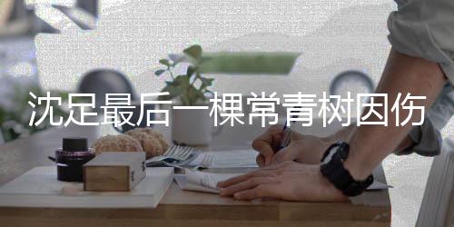 在涅波的棵常调教下