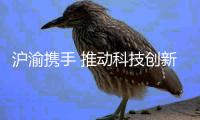 沪渝携手 推动科技创新中心建设