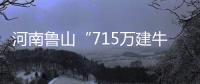 河南鲁山“715万建牛郎织女雕塑”调查两年仍无结论？市纪检委：还在调查	，涉及保密