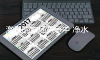 快排公司十年历程，霸屏兔 seo 的崛起与坚守