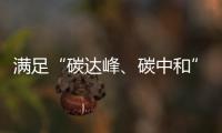快排公司十年历程，霸屏兔 seo 的崛起与坚守