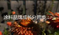 涂料品牌成长分两步：一是产品，二是营销