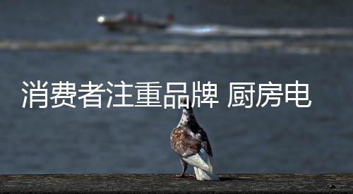由于厨房电器市场潜力巨大