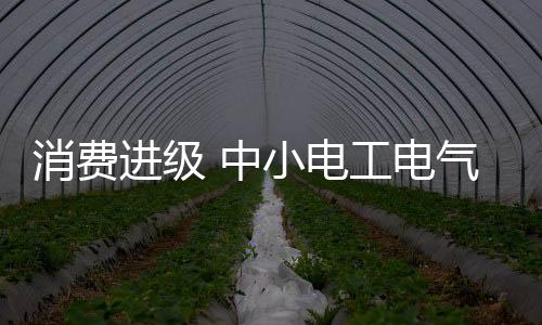 在数十年的电工电气时间里