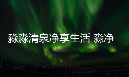 是淼净以强大的资本运营能力