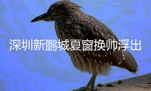 城夏窗换出水不出意外