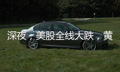 大跌大涨截至北京时间22：20
