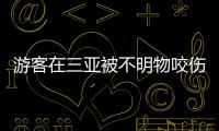 游客在三亚被不明物咬伤后身亡，官方通报
：已成立调查组