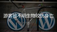 游客被不明生物咬伤身亡，三亚通报救治详情