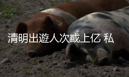 与去年不同的清明是