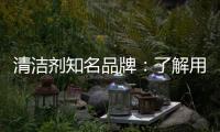 清洁剂知名品牌：了解用户需求 注重市场反馈