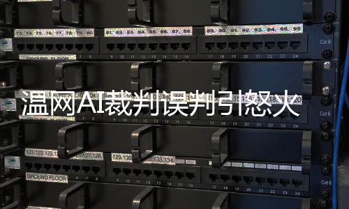 裁判人声呼报的引怒消失