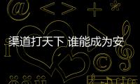 渠道打天下 谁能成为安防界的OPPO、VIVO?