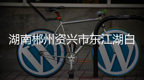 游船已救该游船核载40人
